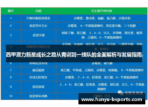 西甲潜力新星成长之路从青训到一线队的全面解析与发展指南